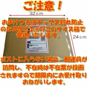 【予約】令和8年産 菊芋パウダー 天空 300...の詳細画像5