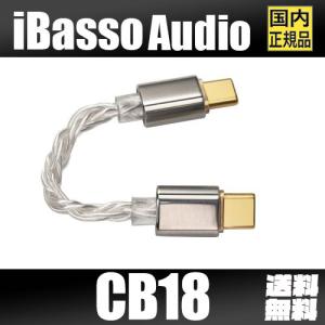 iBasso Audio アイバッソ CB18 アップグレード TypeC USB-OTG 銀メッキ6N単結晶銅 ハンドメイド｜heylisten