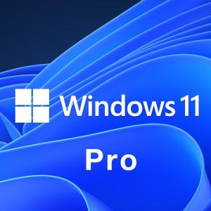 Windows 11 Professional プロダクトキー [Microsoft] 1PC/ダウンロード版 | 永続ライセンス・日本語版