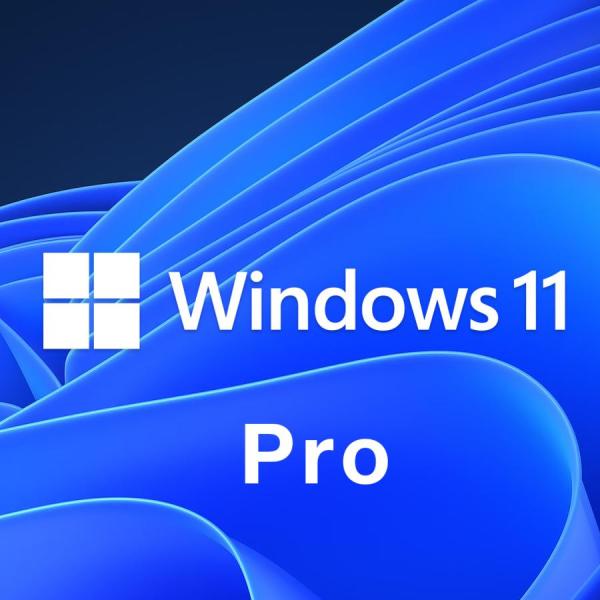 Windows 11 Professional プロダクトキー [Microsoft] 1PC/ダウ...