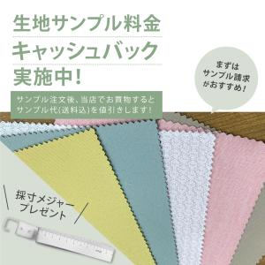 Reina(レイナ)40色 + レース2柄 1...の詳細画像4