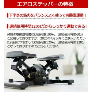 【エアロステッパー正規品】エアロステッパー S...の詳細画像4