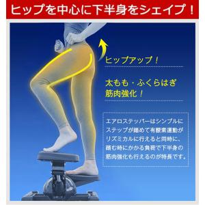 【エアロステッパー正規品】エアロステッパー S...の詳細画像5