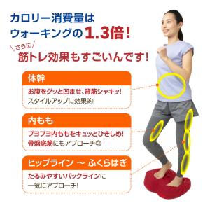 【正規品】ふみトレステッパー エアー内臓 ステ...の詳細画像3