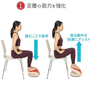 ふみポン ルネサンス メーカー公式 ファブリッ...の詳細画像4