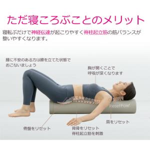 リセットポール ベーシック RP-800 スト...の詳細画像3