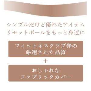 リセットポール ファブリック RP-900 ス...の詳細画像2