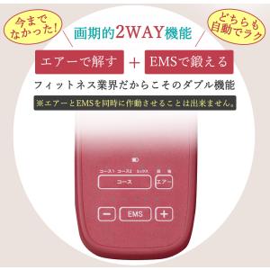 【正規品】スタイリーレッグ 電動 強度5段階調...の詳細画像5