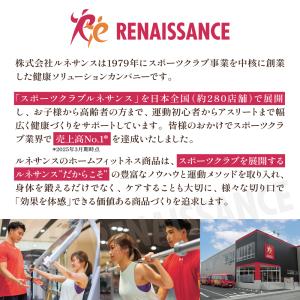 【ツイストステッパー正規品】ツイストエアロステ...の詳細画像2