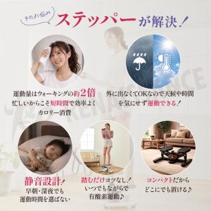 【ツイストステッパー正規品】ツイストエアロステ...の詳細画像5