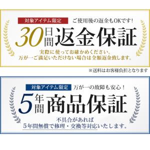 【ツイストステッパー正規品】ツイストエアロステ...の詳細画像2