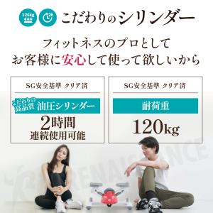 【ツイストステッパー正規品】ステッパー ツイス...の詳細画像4