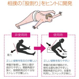 サンテプラス フレックスクッションMINI 子...の詳細画像2