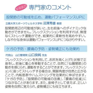 サンテプラス フレックスクッションMINI 子...の詳細画像5