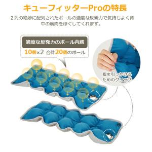 【正規品】キューフィッターPro 連結型 リセ...の詳細画像4