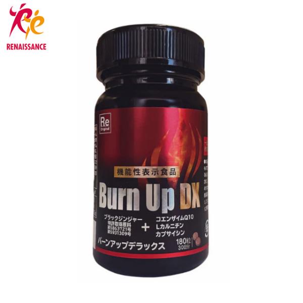 ルネサンス バーンアップDX 45g（250mg×180粒）ブラックジンジャー抽出物配合