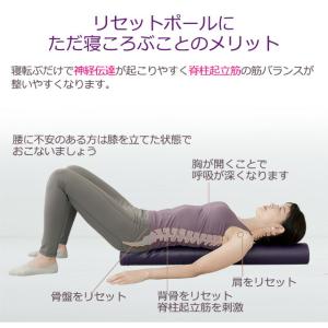 ストレッチ 用 リセットポールスリムの詳細画像2
