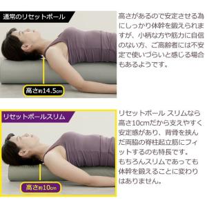 ストレッチ 用 リセットポールスリムの詳細画像5