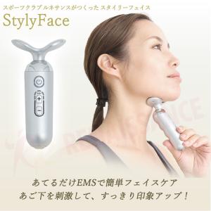 【メーカー直販】P15倍! スタイリーフェイス...の詳細画像1
