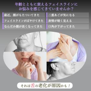 【メーカー直販】P15倍! スタイリーフェイス...の詳細画像2