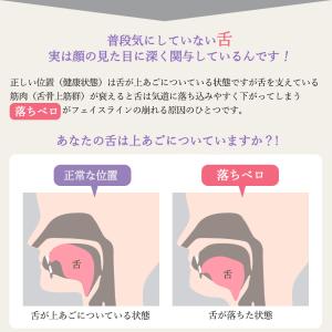 【メーカー直販】P15倍! スタイリーフェイス...の詳細画像3
