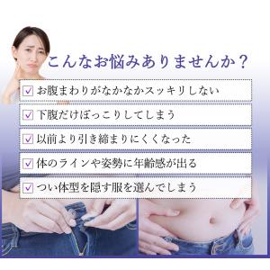 【メーカー直販】 ブーストブレスベルト EMS...の詳細画像1