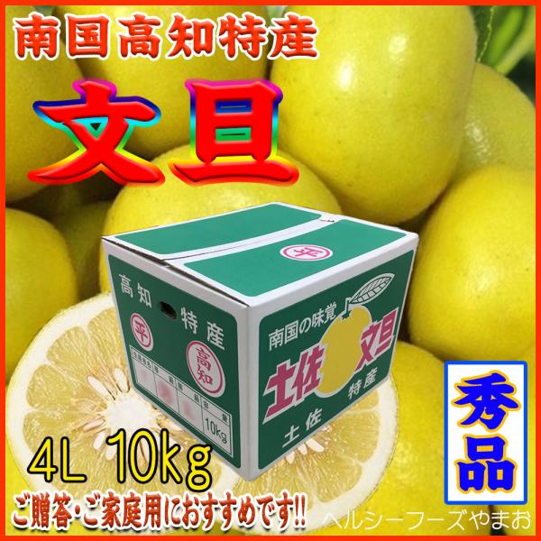 2026　ギフト　贈り物　プレゼント　土佐文旦（高知産・４Ｌサイズ）１０ｋｇ入（ご贈答用・ご家庭用に...