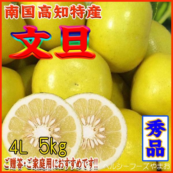 2026　ギフト　贈り物　プレゼント　土佐文旦（高知産・４Ｌサイズ）５ｋｇ入（ご贈答用・ご家庭用に最...