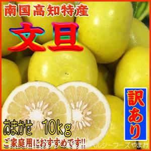 ホア。特別栽培 和歌山県産 文旦 20キロ 楽天市場】文旦 （ぶんたん） A級品 1kg 防腐剤・ワックス不使用