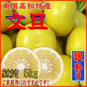 土佐文旦（トサブンタン） 訳あり＜特価＞（高知産・おまかせサイズ）５ｋｇ入（ご家庭用に最適です）