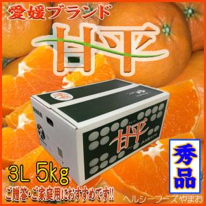 甘平 みかん ご家庭用 5Kg 送料無料 希少柑橘 愛媛県産 3Lサイズ 5kg