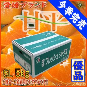 極旨】甘平（かんぺい）お得用5kg（愛媛県大三島産） : 俺のみかん
