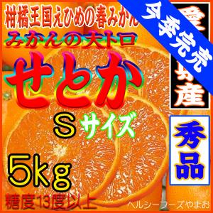 ★せとか（愛媛産・瀬戸内・Ｓサイズ）５ｋｇ入（ご贈答用・ご家庭用におすすめです）