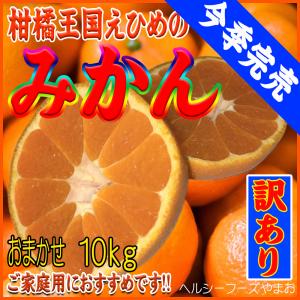みかん　訳あり＜特価＞（愛媛産・瀬戸内・おまかせサイズ）１０ｋｇ入（ご家庭用に最適です）