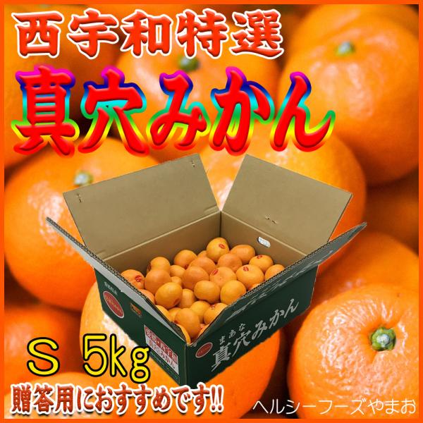 2025　お歳暮　冬ギフト　真穴みかん（愛媛産・西宇和ブランド・Sサイズ）５ｋｇ入（ご贈答用に最適で...