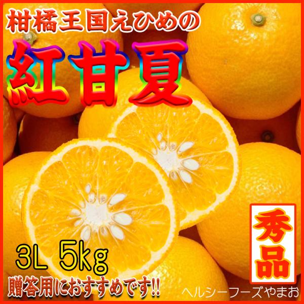 2024　ギフト　贈り物　プレゼント　紅甘夏（甘夏みかん・愛媛産・赤秀３Ｌサイズ）５ｋｇ入（ご贈答用...