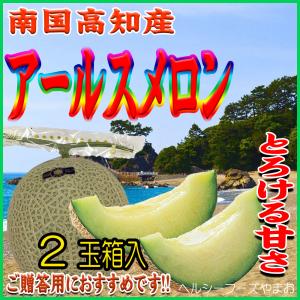 アールスメロン 贈答用 メロン 高知県産 ネット系メロン ハウスメロン
