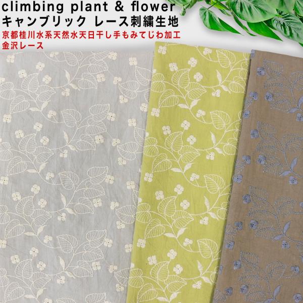 京都桂川水系天然水 天日干し 手もみてじわ加工 climbing plant &amp; flower キャ...