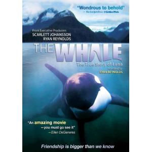 Whale DVD Import 並行輸入