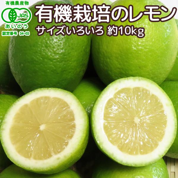 広島産 レモン 大長 有機栽培のレモン 約10kg サイズいろいろ 皮まで食べられます 送料無料 国...