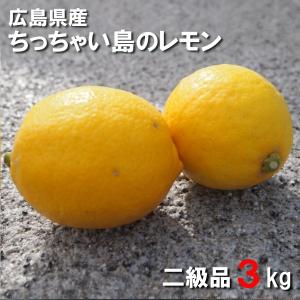 送料無料 広島県産レモン ３ｋｇ 二級品 皮まで食べられます ちっちゃい島のレモン 国産レモン 広島県呉市豊浜