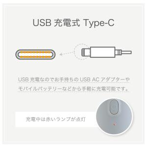 【当店人気No.1!】ハンディクリーナー 掃除...の詳細画像5