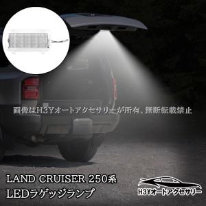 ランドクルーザー TOYOTA トヨタ 純正 プロジェクションカーテシイルミ