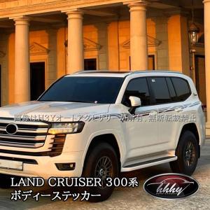 ランドクルーザー 300 ルーフレール シルバー ランクル 300系 現行
