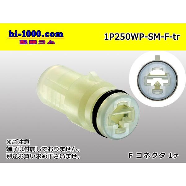 ●住友電装製250型防水1極F側コネクタのみ（端子別）/1P250WP-SM-F-tr