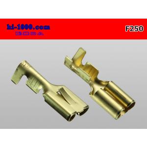●矢崎総業250型Fターミナル(Mサイズ:0....の詳細画像1