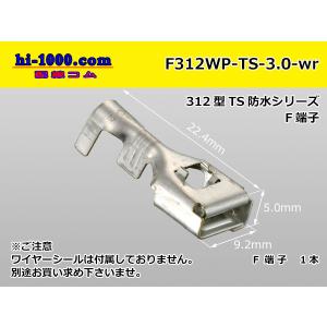 AKRAPOVIC（アクラポビッチ） AKRAPOVIC JMCA認証 SLIP ON LINE ZX-10R