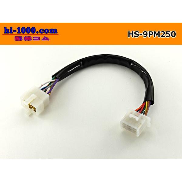 両端9P(250型)延長ハーネス/HS-9PM250