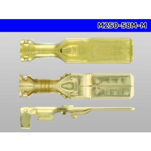 矢崎250型58シリーズMタイプM端子(Mサイ...の詳細画像2
