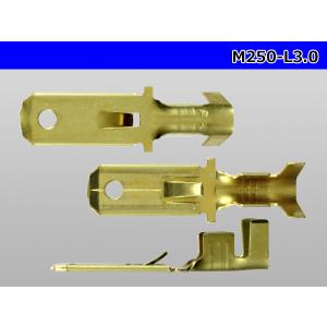 ●矢崎総業250型Mターミナル(Lサイズ:3....の詳細画像2